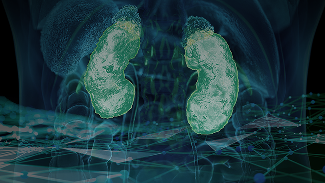 ReachMD Healthcare Image