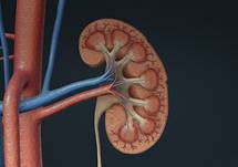 Case-Based Management of AAV