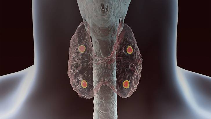 ReachMD Healthcare Image