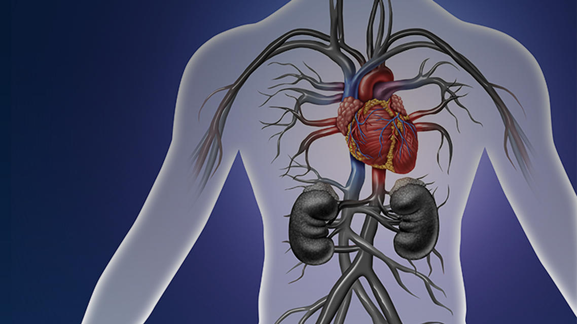 ReachMD Healthcare Image