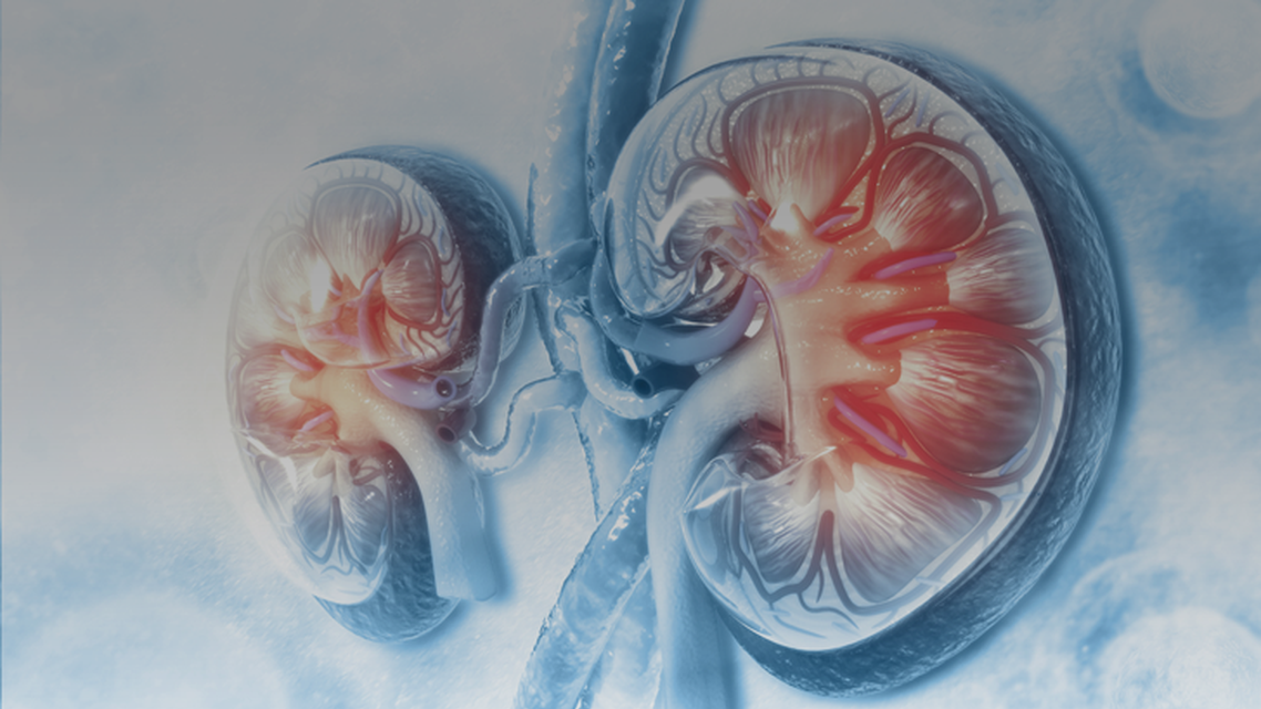 ReachMD Healthcare Image